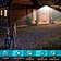 Solar light